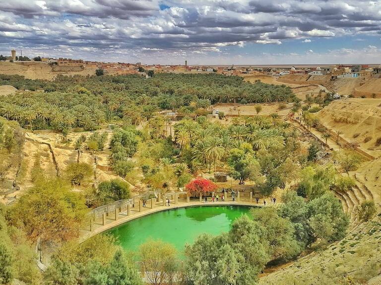 Green pool and palm groves of the Nefta oasis in southwest Tunisia