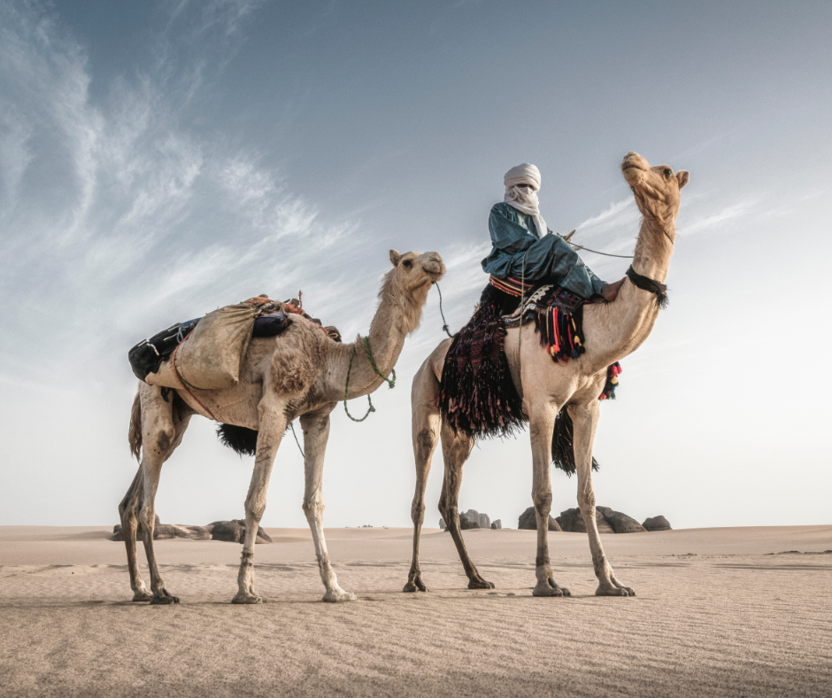 Tuareg rider on a camel with a second camel on flat desert sand