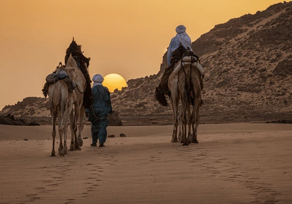 Tuareg guides walking camels across the sand at sunset in southern Algeria