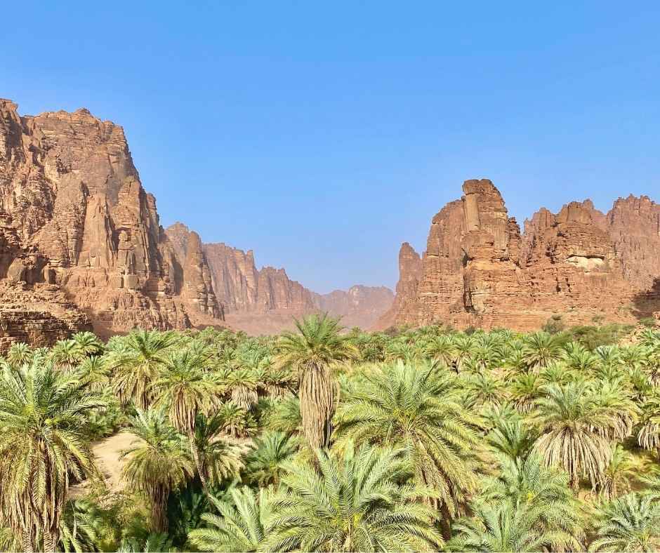 Stunning view of the wadi al disah oasis in the tabuk province of Saudi Arabia