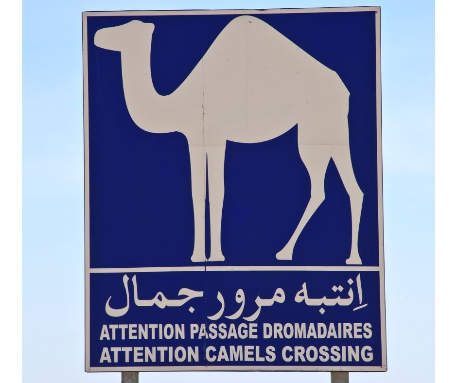 Tunisia-Travel-Tips-road-sign