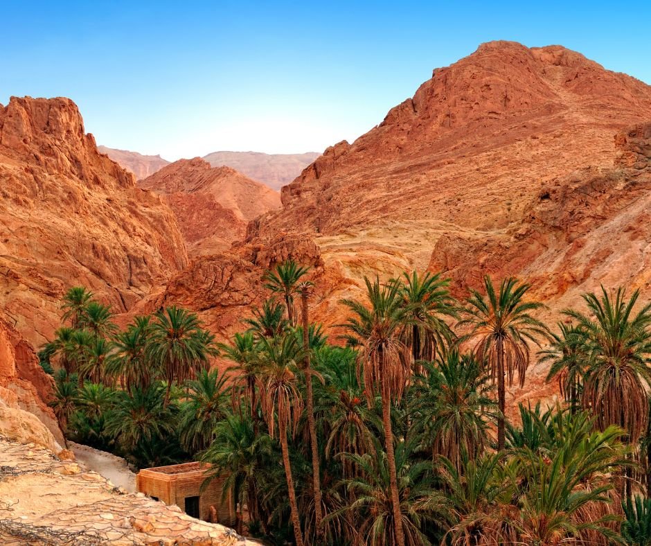 Tunisia-Travel-Tips-South