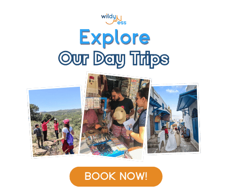 day-trip-cta