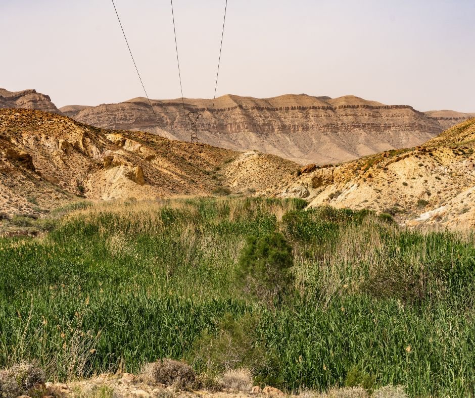 Landscapes-in-Tunisia-bouhedma