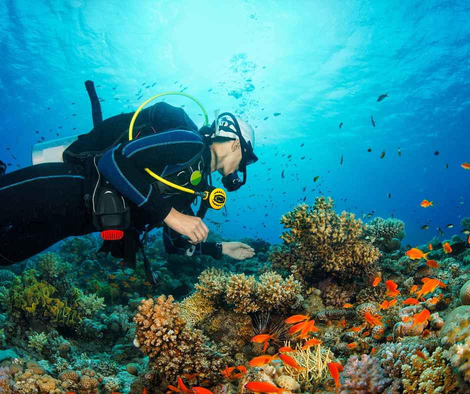diving-in-fujairah
