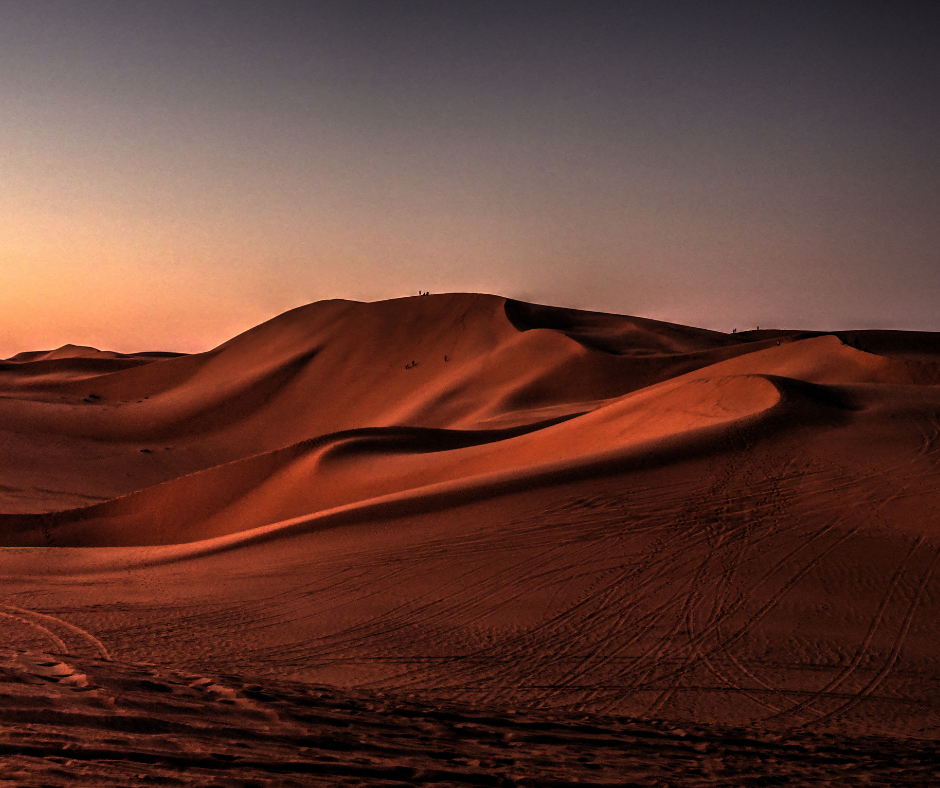 Smooth orange dunes at dusk crossed by vehicle tracks in the Algerian Sahara