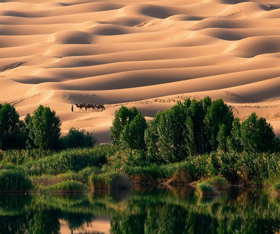 liwa-desert-uae