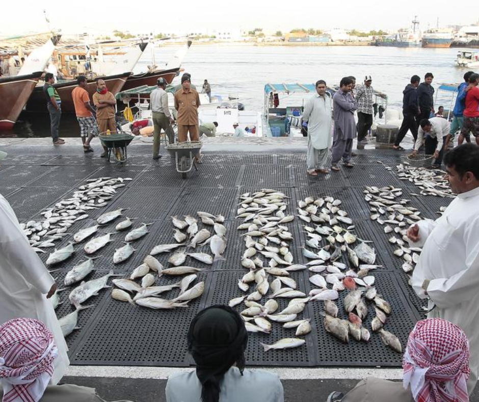 fish-market-ajman