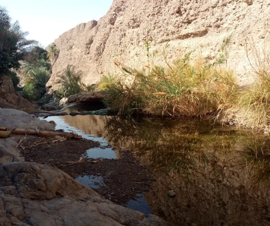 wadi-abadilah-trail-fujairah-uae