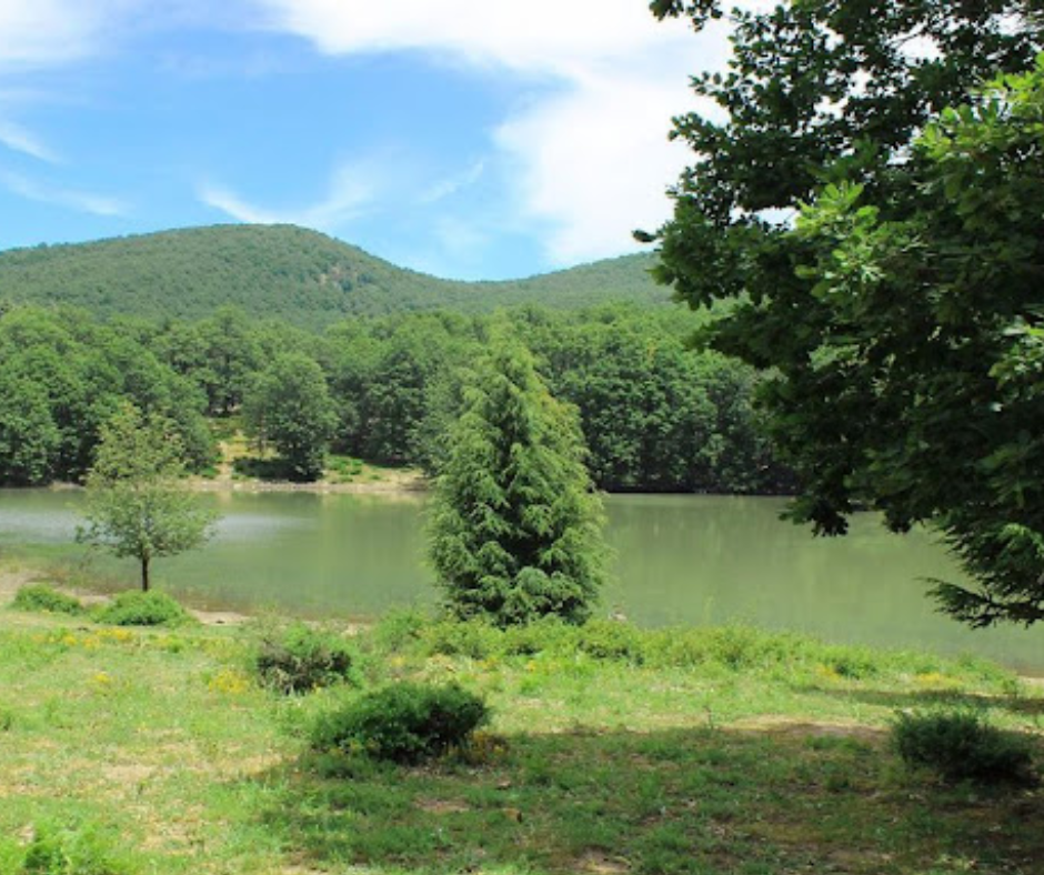 Calm lake surrounded by forested hills and green meadow near Tikjda in Kabylie