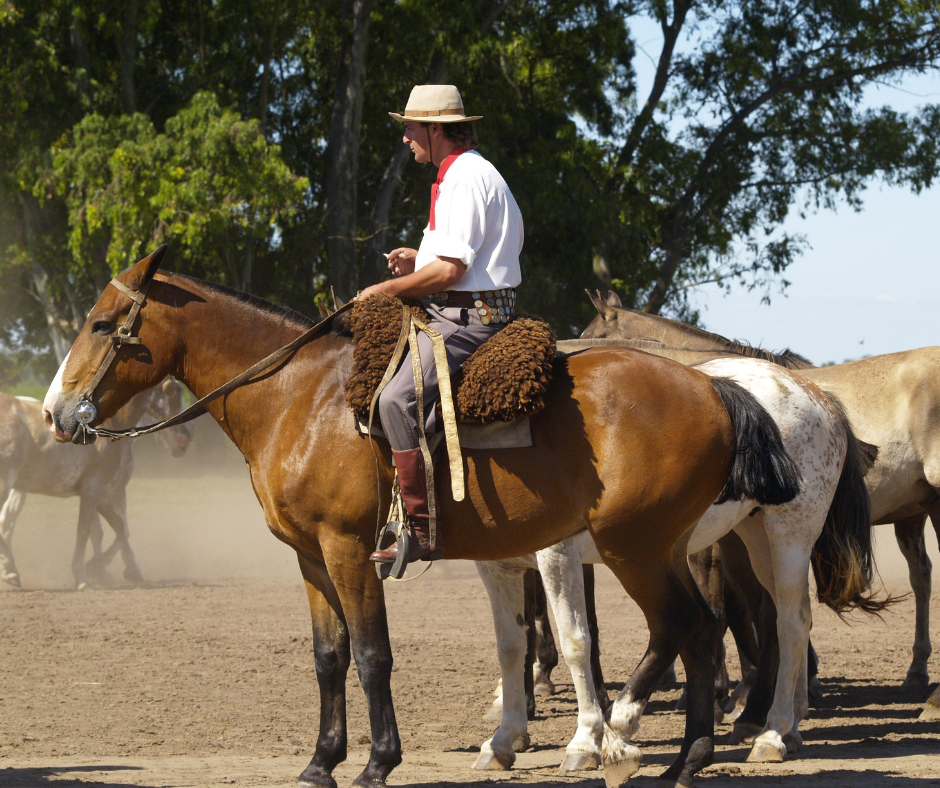 horse-riding