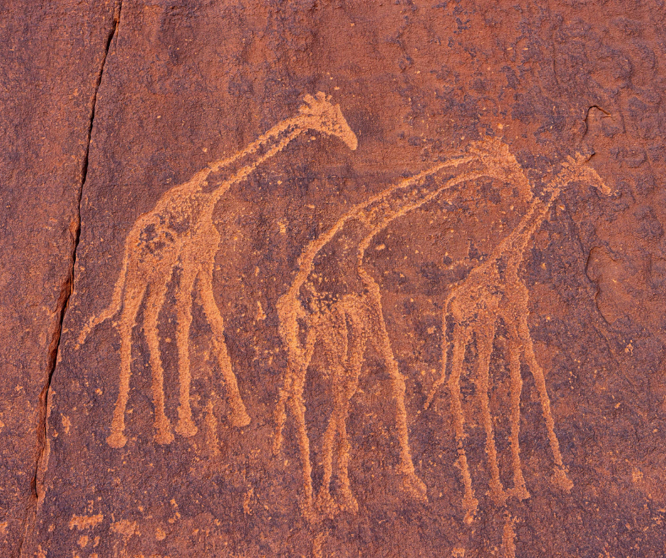 Rock engraving of three giraffes on red stone in the Sahara