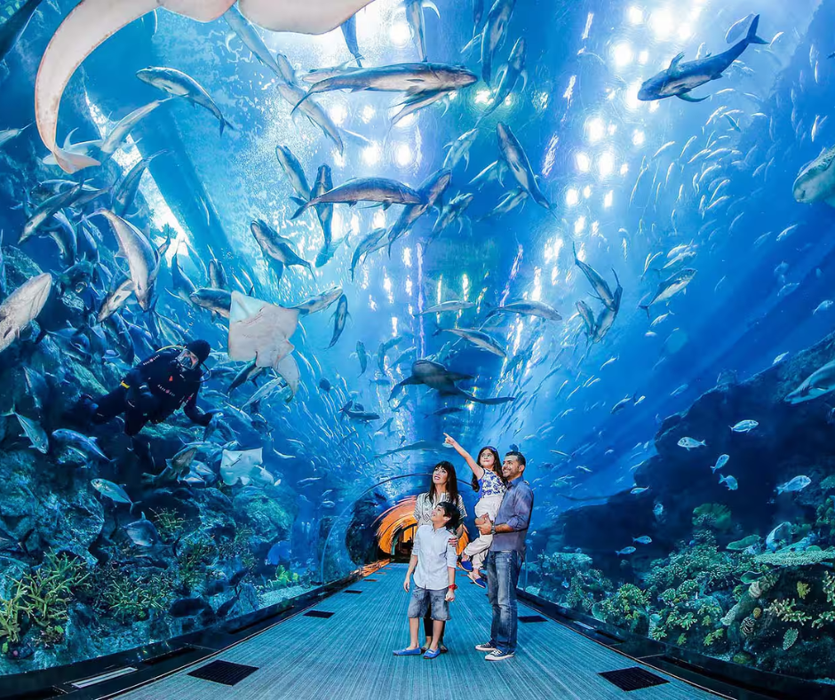 dubai-aquarim