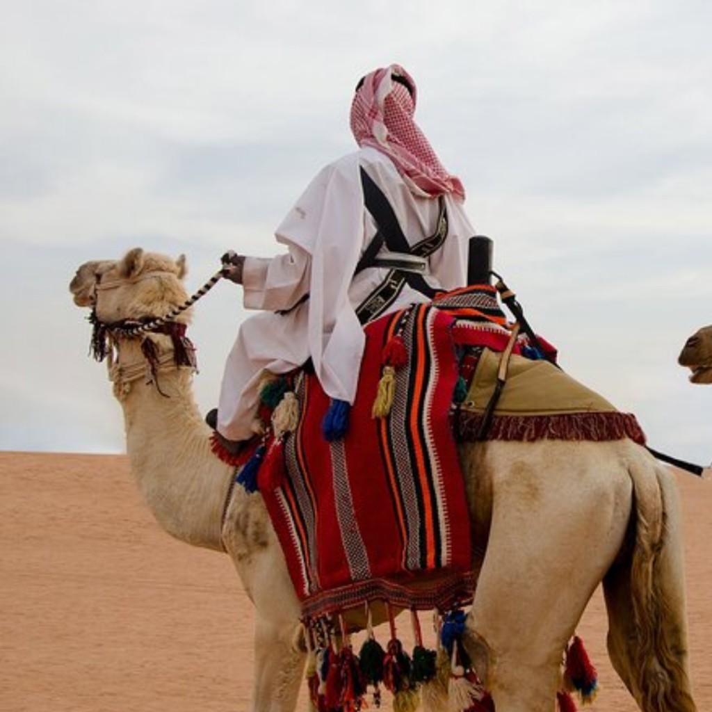 Thumamah-camel-trecking