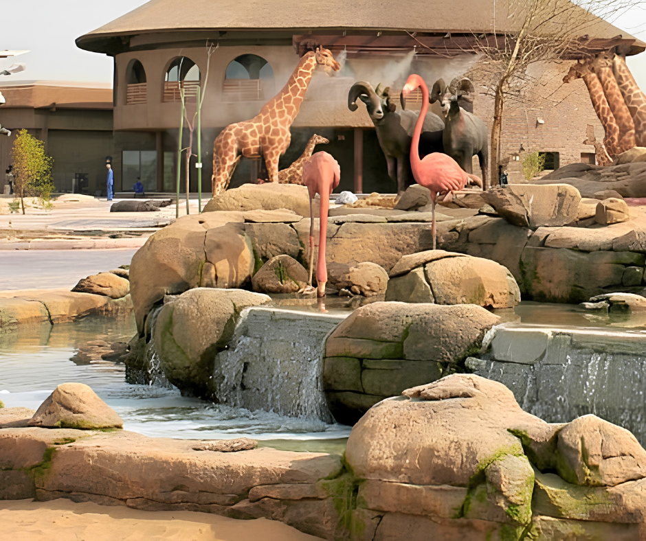 dubai-safari-park