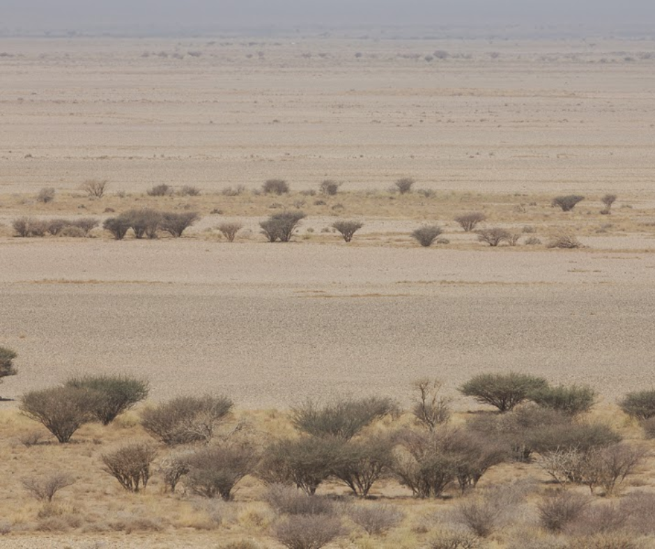 Mahazat-as-Sayd-Protected-Area