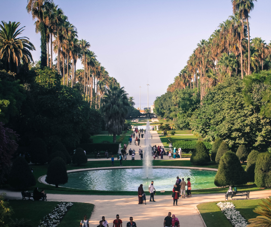 Palm-lined avenue and fountain basin in the Jardin d'Essai in Algiers