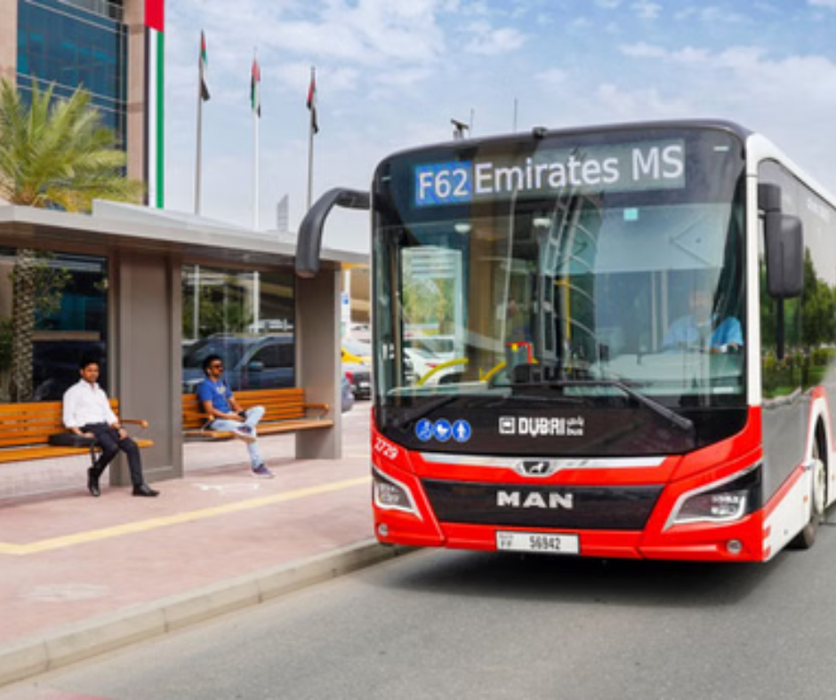 feeder-network-busses
