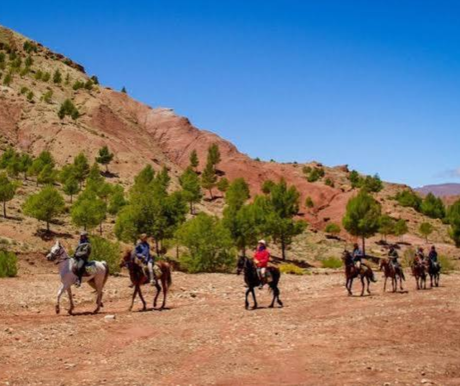 Riders on horseback crossing a red rocky hillside with pine trees