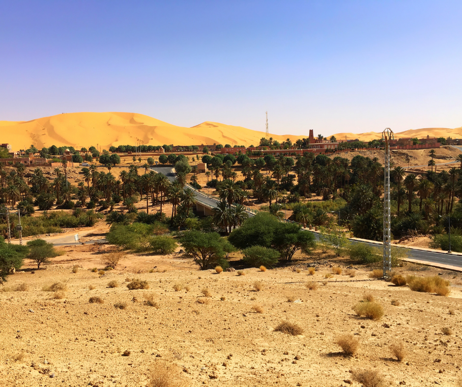 Oasis village and palm grove below tall orange dunes at Taghit