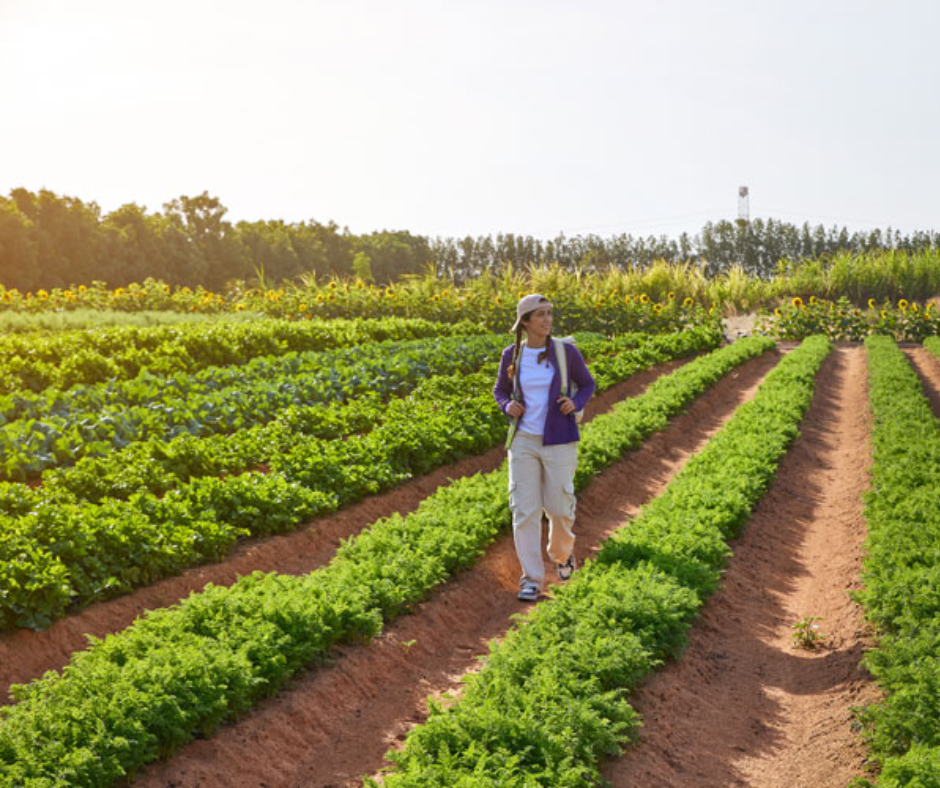 Salem-AlDarmakyi-Farm
