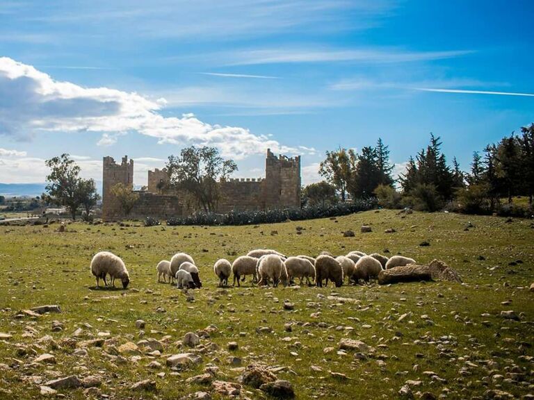 ksar lemsa kairouan