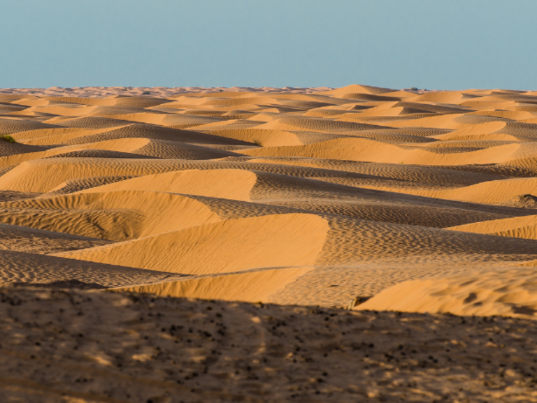 douz sabria sahara circuit southern tunisia