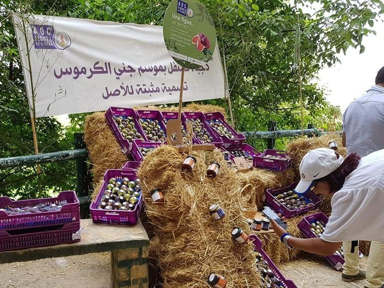 festival fig tunisia
