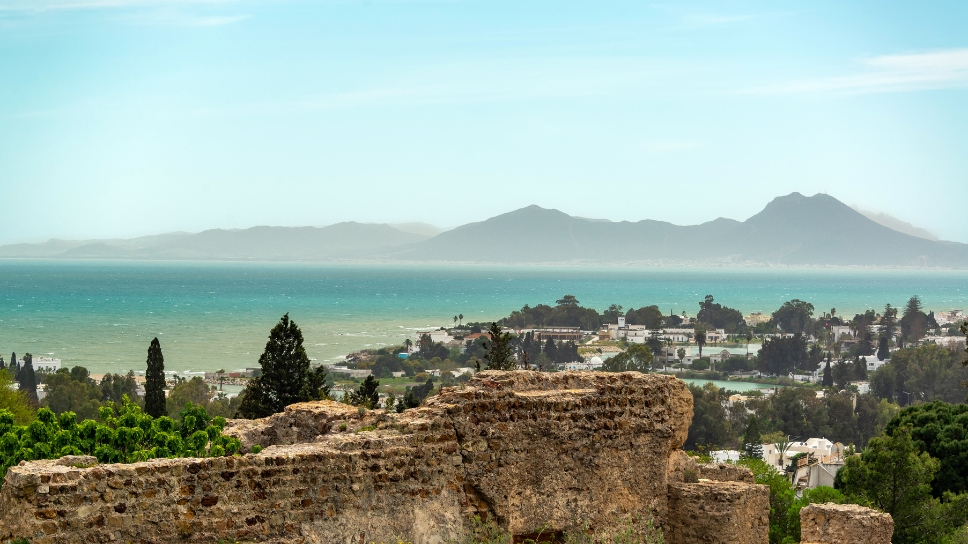 15 Incredible Things to Do in Tunis, Tunisia
