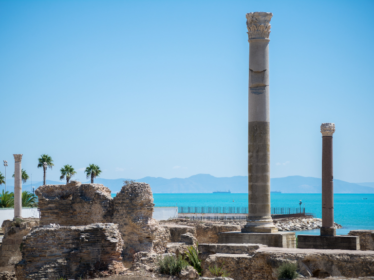 carthage visit tunis