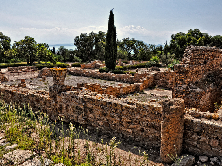 ROMAN VILLAS CARTHAGE