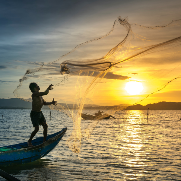 Learn Traditional Fishing Techniques in Djerba