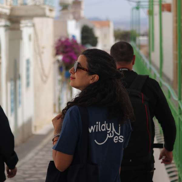 Discover the Hidden Treasures of Kairouan Medina