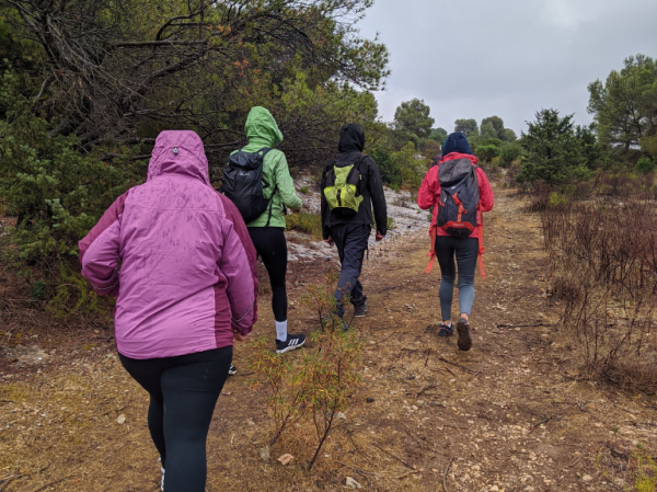 Siliana Mountain Hike: Discover Nature's Beauty and Local Hospitality