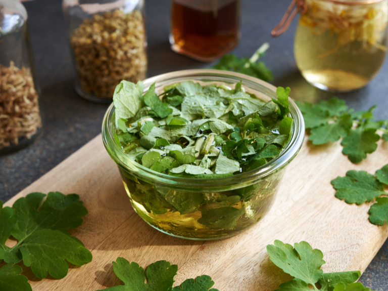 Nettle Macerate