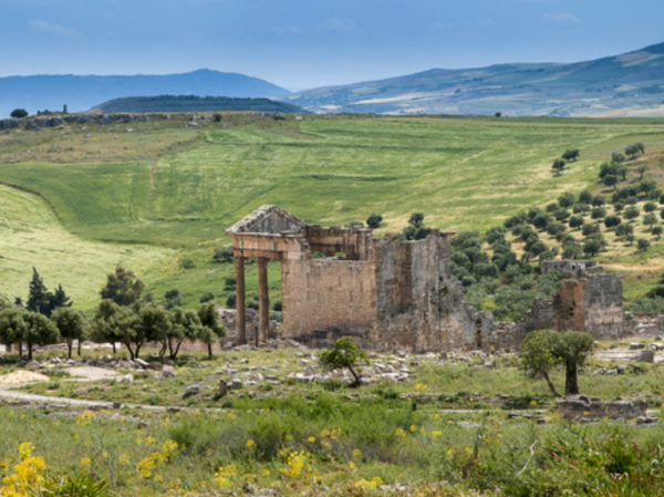 Discover the Timeless Charms of Dougga with a Guide