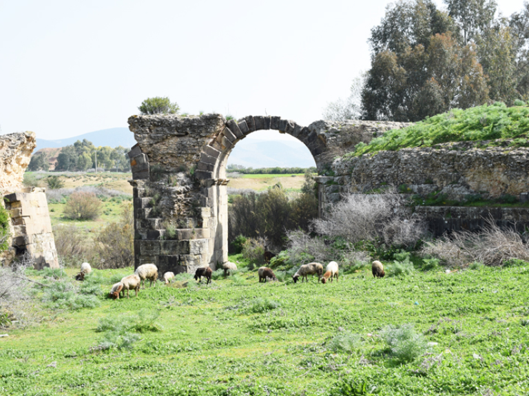 chemtou archeological sites