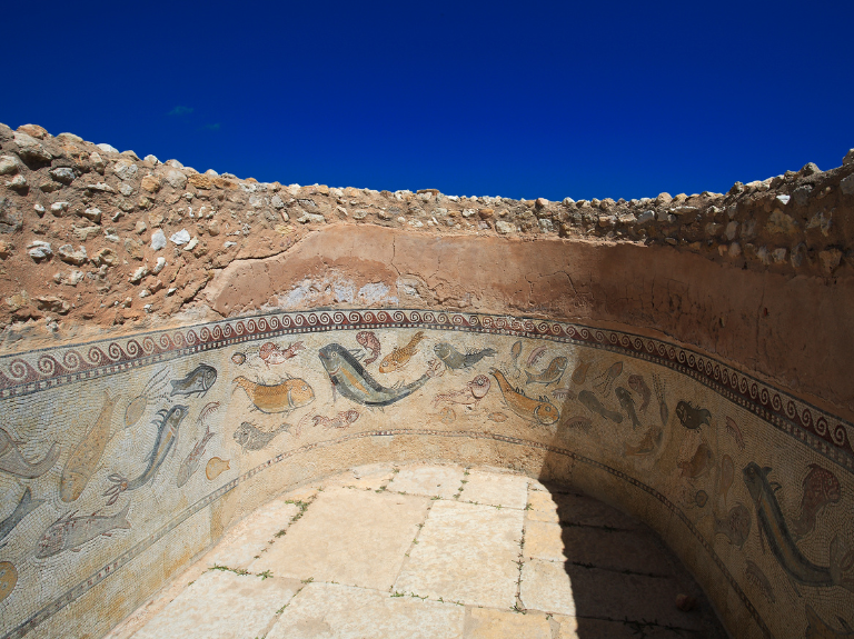 sbeitla tunisia mosaics