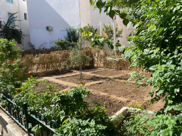 Atelier terrarium et découverte de Jninet El Hafsia