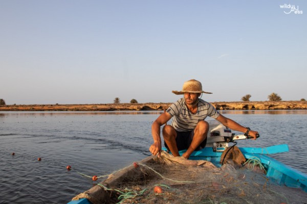 Discover the Charfiyah Fishing Technique in Chebba Beach, Tunisia