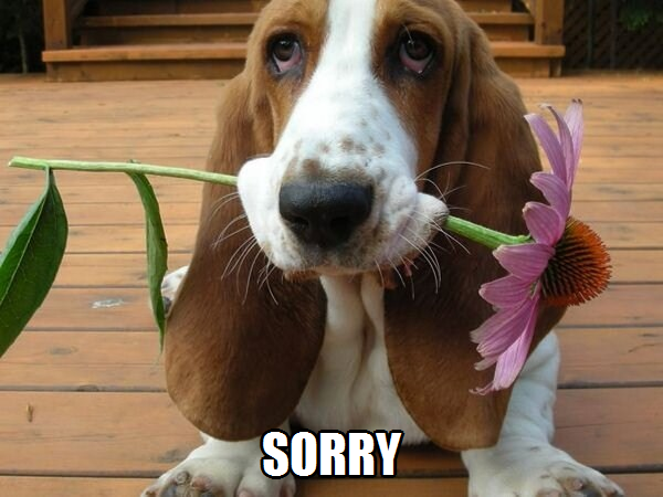 sorry!
