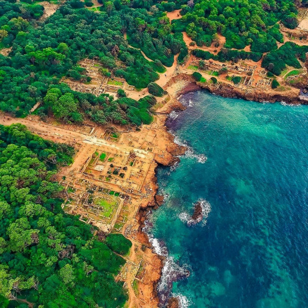 Tipaza