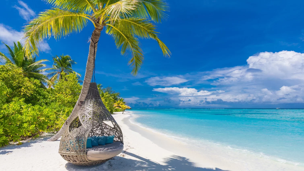 Best Beaches in Saudi Arabia: From Umluj to Farasan Islands