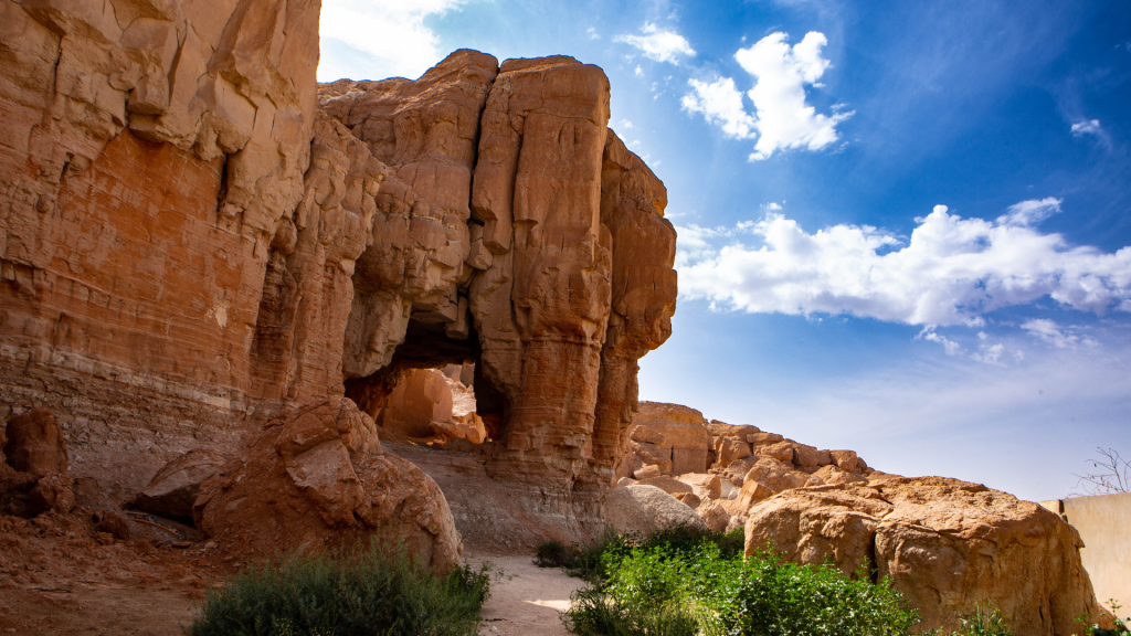 Best Time to Visit Saudi Arabia: Season by Season Travel Guide