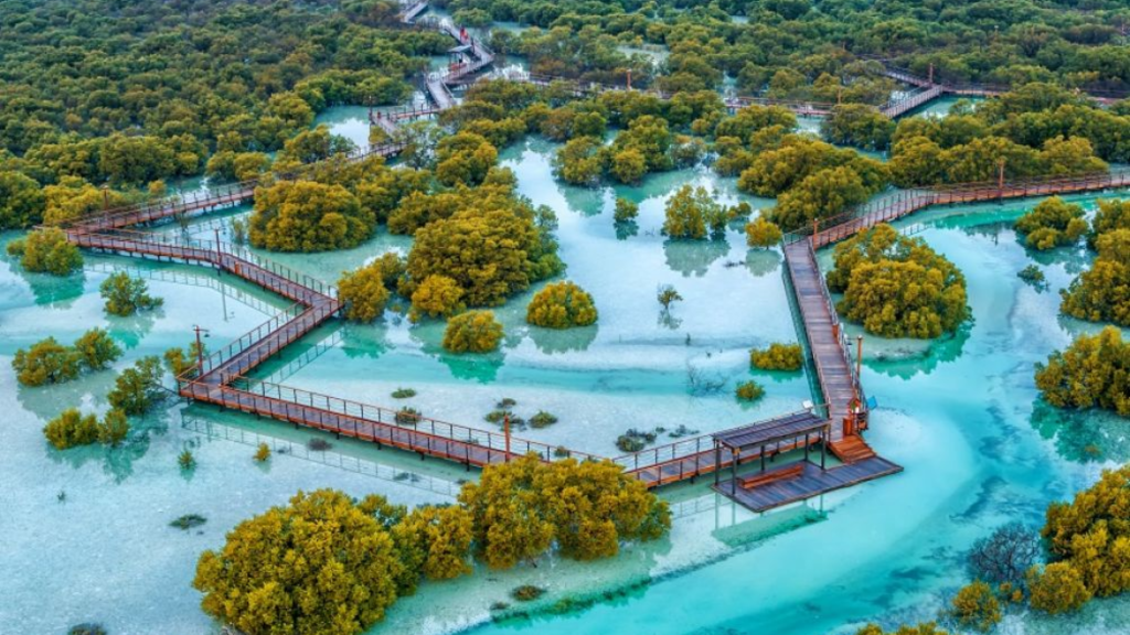 Guide to the 9 Best National Parks in the UAE